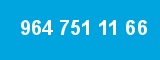 964 751 11 66